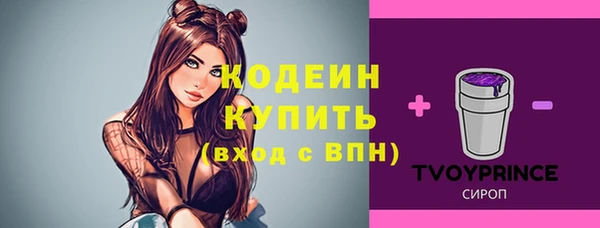 спиды Горно-Алтайск
