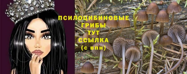 спиды Горно-Алтайск