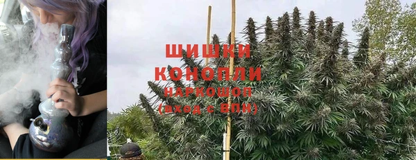 эйфоретик Горняк