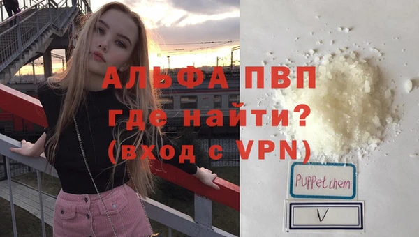 Альфа ПВП Гусев