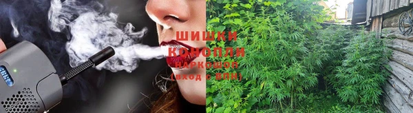 эйфоретик Горняк